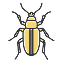 Уничтожение короеда